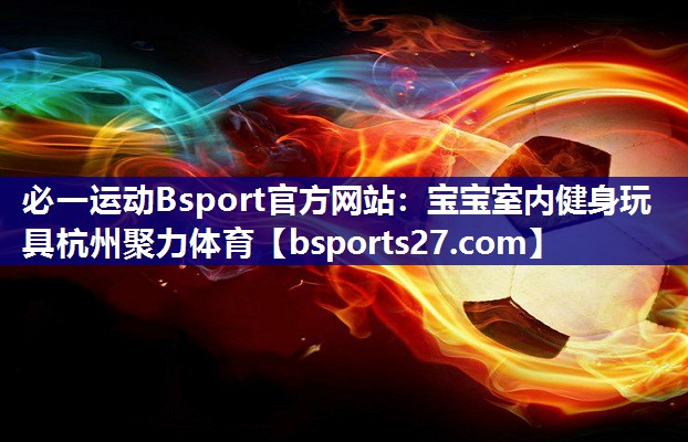 必一运动Bsport官方网站：宝宝室内健身玩具杭州聚力体育